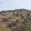 land for sale pentalia paphos 1674205 thumbnail 17625097