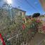 2 bedroom apartment for rent katholiki limassol 8633305 thumbnail 15878357
