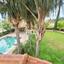 6 bedroom detached house for sale ekali limassol 1147305 thumbnail 13831672