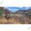 land for sale alona nicosia 8090405 thumbnail 13164955