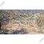 land for sale alona nicosia 8090405 thumbnail 13164966