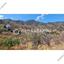 land for sale alona nicosia 8090405 thumbnail 13164972