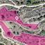 land for sale dierona limassol 1603405 thumbnail 13347656