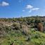 land for sale pissouri limassol 1721405 thumbnail 15596909