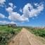 land for sale tochni larnaca 1614405 thumbnail 15866846