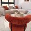 2 bedroom apartment for rent neapolis limassol 8890505 thumbnail 17320460