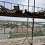 2 bedroom apartment for sale pano polemidia limassol 8372505 thumbnail 14860650