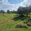 land for sale anogyra limassol 1464505 thumbnail 15599854