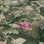 land for sale koili paphos 1057505 thumbnail 13347810