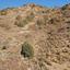 land for sale palaichori morfou nicosia 1689505 thumbnail 17601346