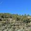 6360 SQM Land for sale in Palaichori Morfou, Nicosia thumbnail 15600247