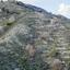 land for sale agros limassol 944605 thumbnail 15601328