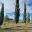 land for sale kellaki limassol 8897605 thumbnail 17348730