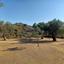 land for sale kellaki limassol 8897605 thumbnail 17348737