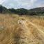 land for sale eptagoneia limassol 1146705 thumbnail 5501923