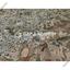 plot for sale geri nicosia 1706705 thumbnail 14105326