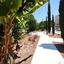 2 bedroom apartment off market kato paphos universal paphos 8971805 thumbnail 17871962