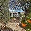 3 bedroom detached house for sale palodeia limassol 1294805 thumbnail 11616443