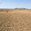 land for sale dali nicosia 1605805 thumbnail 12686074