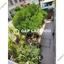 studio apartment building for sale agios dometios nicosia 1851805 thumbnail 6730092