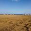 land for sale pervolia larnaca 8117905 thumbnail 13297068