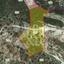 land off market agios tychonas limassol 1896905 thumbnail 7212349