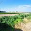 plot for sale dromolaxia larnaca 1657905 thumbnail 5802136