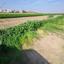 plot for sale dromolaxia larnaca 1657905 thumbnail 5802138