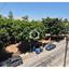 2 bedroom apartment for sale faneromeni larnaca 8880015 thumbnail 17258511