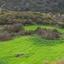 1673 SQM Land for sale in Terra, Paphos thumbnail 15596711