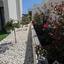 3 bedroom detached house for sale pyla larnaca 8659115 thumbnail 16172715