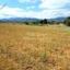 11000 SQM Land for sale in Agios Ioannis Nicosias, Nicosia thumbnail 5147439
