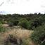 land for sale terra paphos 7806115 thumbnail 17601378