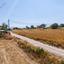 land for sale pano akourdalia paphos 1701215 thumbnail 15596986