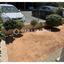 3 bedroom ground floor apartment for rent linopetra limassol 8090415 thumbnail 14620263