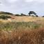 land for sale sea caves peyia paphos 7756415 thumbnail 17673948