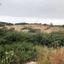 land for sale sea caves peyia paphos 7756415 thumbnail 17673950