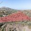 land for sale xyliatos nicosia 967415 thumbnail 3005399