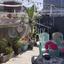 3 bedroom detached house for sale kolossi limassol 1892515 thumbnail 14924267