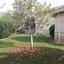 6 bedroom detached house for sale latsia nicosia 1153515 thumbnail 5172038