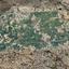 land for sale aradippou larnaca 8960515 thumbnail 17790300