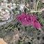 land for sale kakopetria nicosia 1736515 thumbnail 14047204
