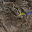 plot for sale alethriko larnaca 7526515 thumbnail 16131877