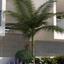 1 bedroom penthouse for sale kato lakatamia nicosia 1786615 thumbnail 16247386