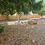 4 bedroom detached house for sale agios tychonas limassol 1854615 thumbnail 6747962