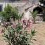 4 bedroom detached house for sale ora larnaca 1417615 thumbnail 5647282