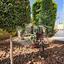 4 bedroom detached house off market ypsonas limassol 7714615 thumbnail 14727049