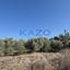 land for sale erimi limassol 1905615 thumbnail 14047352