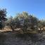 land for sale erimi limassol 1905615 thumbnail 14047354