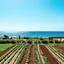 land for sale ormideia larnaca 1311615 thumbnail 5638983